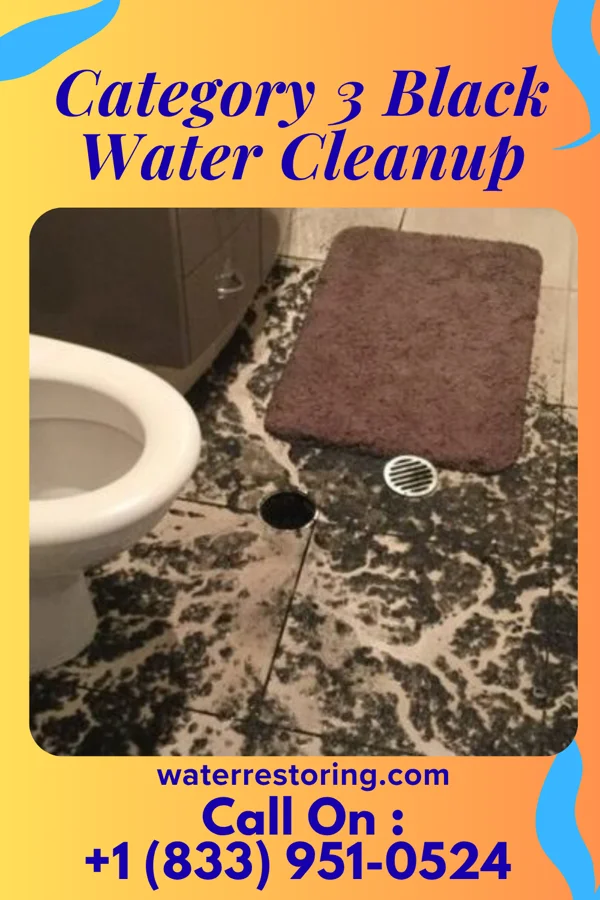 Category 3 Black Water Cleanup in Grayson, GA