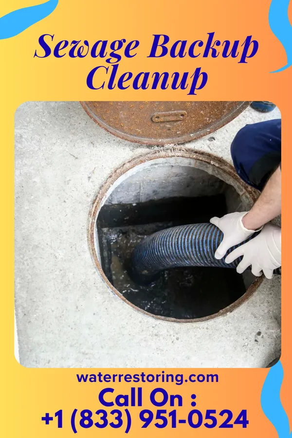Sewage Backup Cleanup in Grayson, GA
