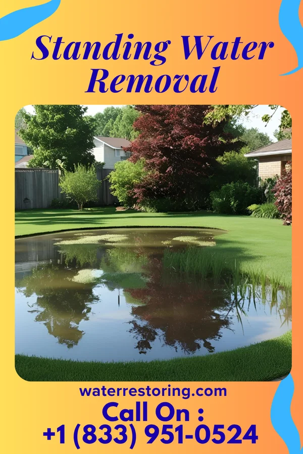 Standing Water Removal in Grayson, GA